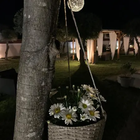 Sirios Apartment *